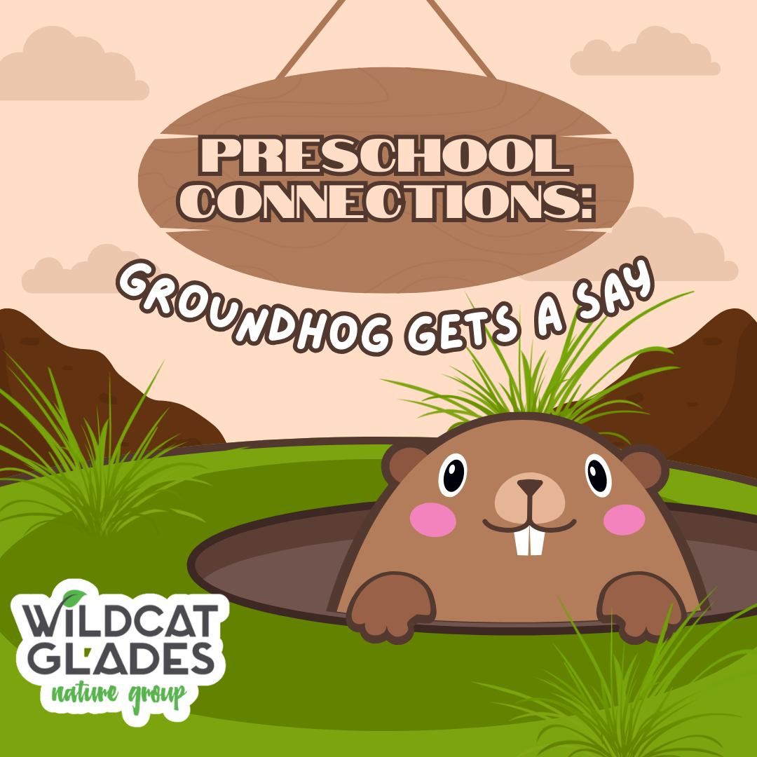 Preschool Connections: Groundhog Gets a Say