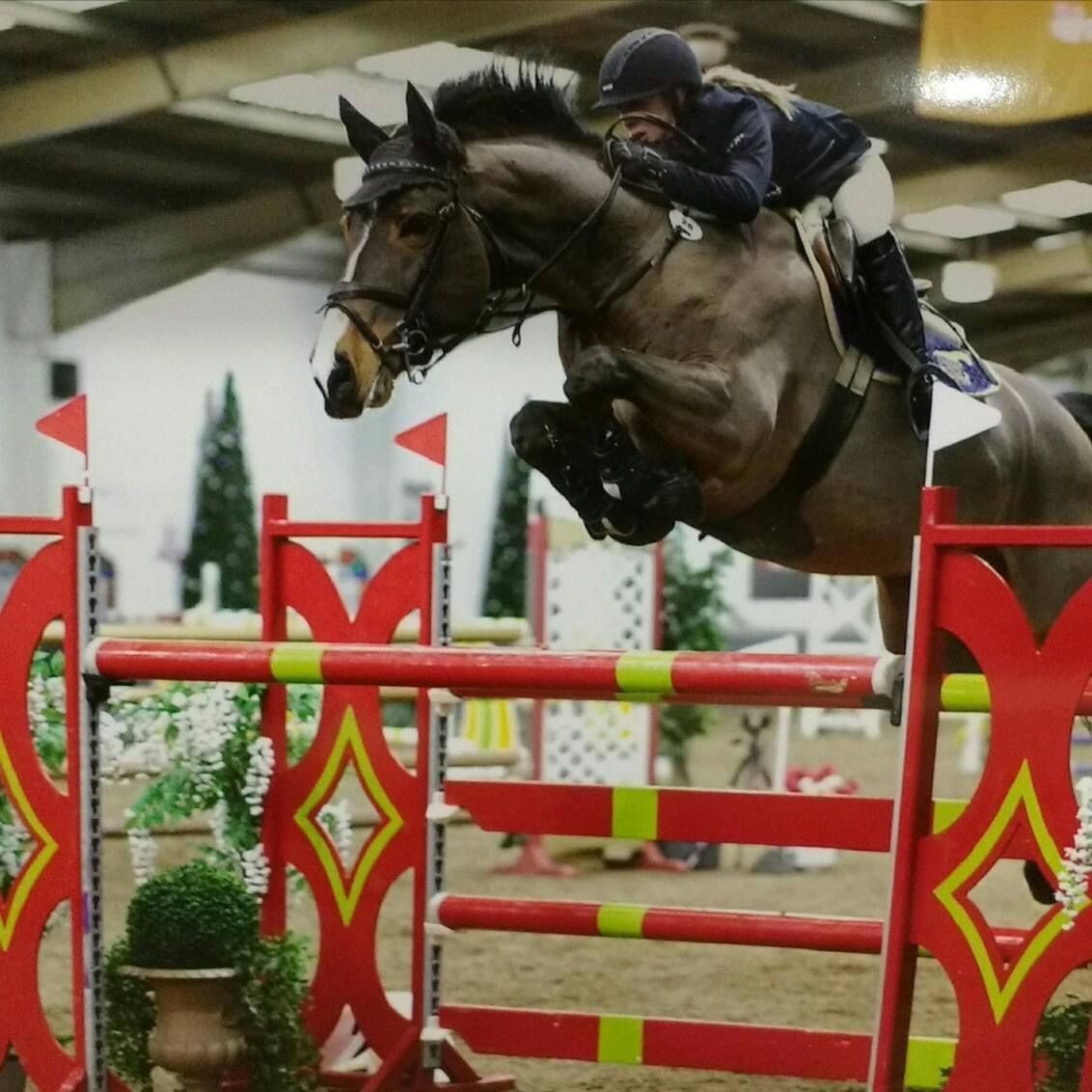 Show Jumping Clinic @ Truesdale with Stacey Cook