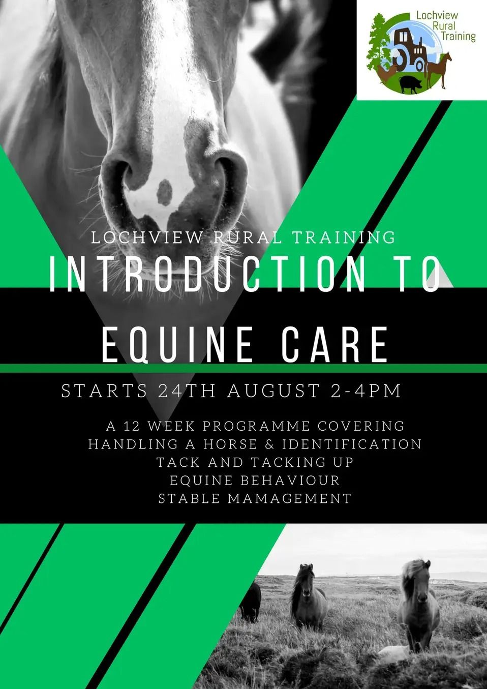 Introduction to Equine Care in Lairg