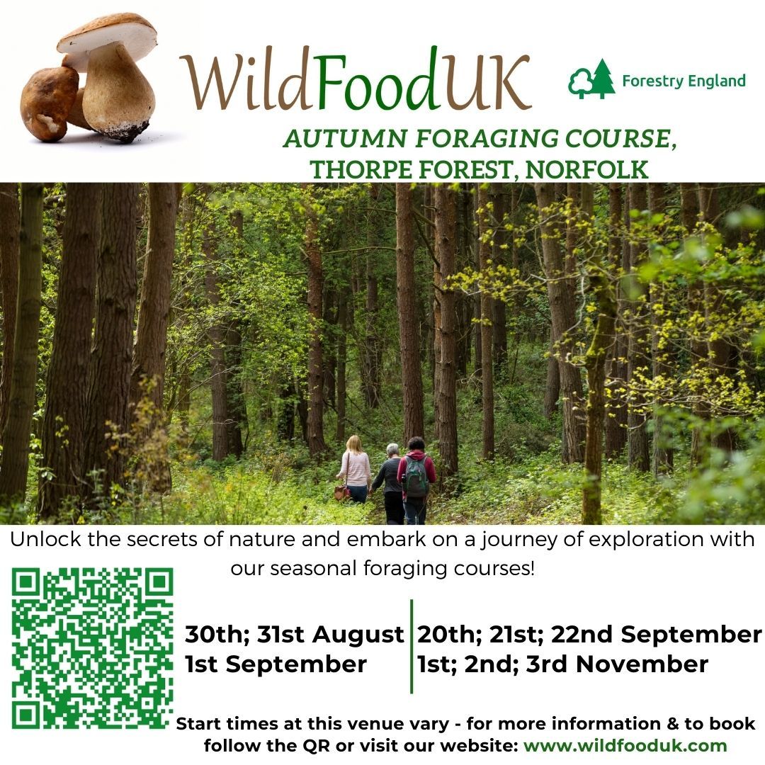 Foraging Courses - Thorpe Forest, Norfolk