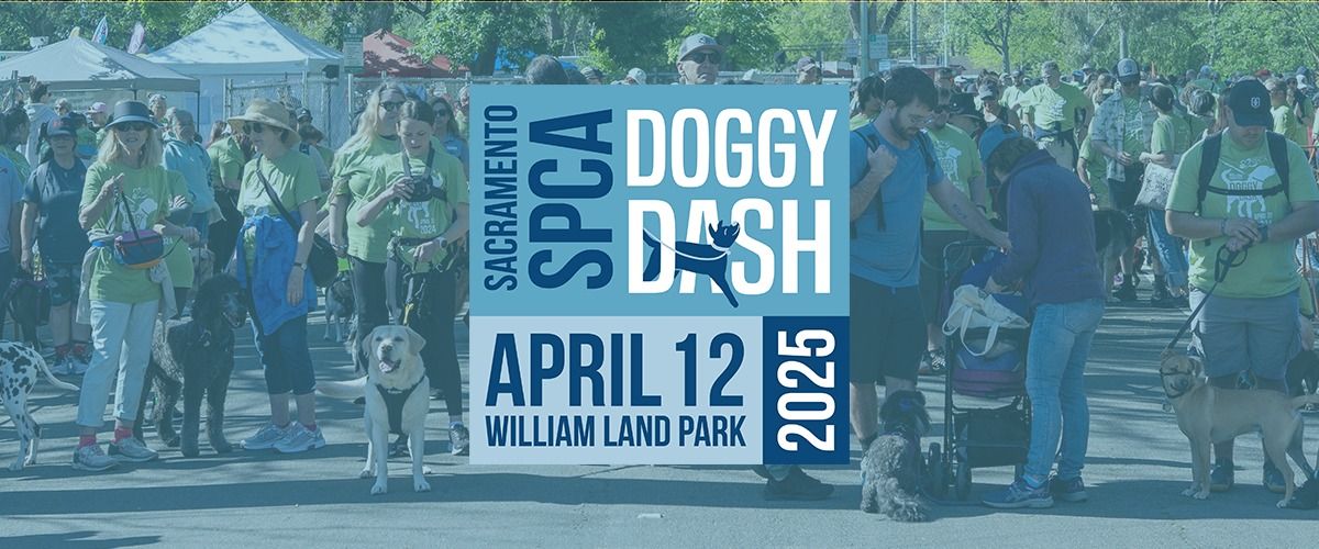 32nd Annual Doggy Dash!