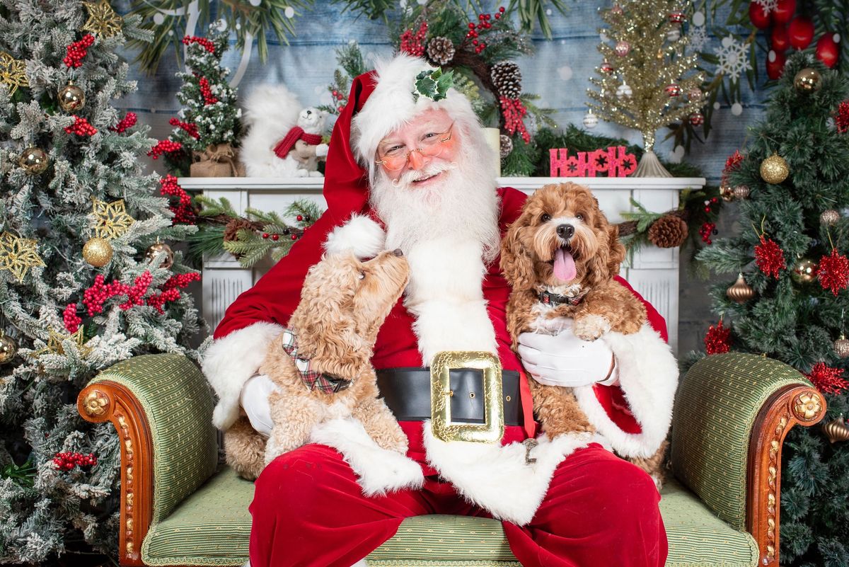 Santa Pics at The Doggie Bag