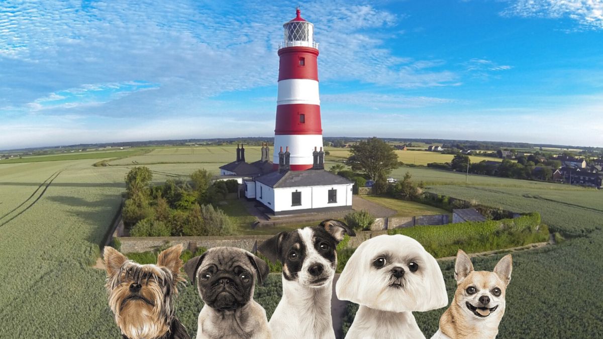 Fetch's Wellness (Beach) Walkies-Happisburgh Hounds