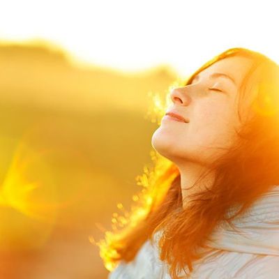 Art of Living Peoria