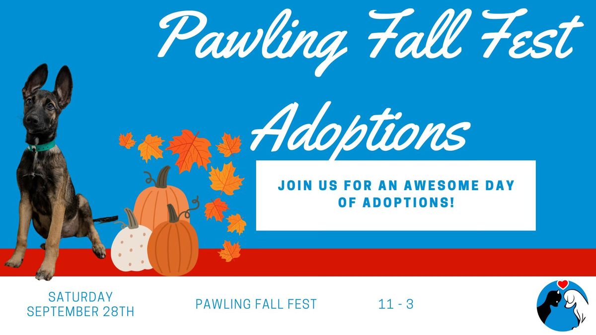 Pawling Rotary Fall Fest Adoptions 