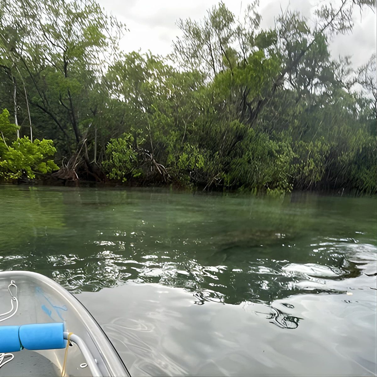 Clear Kayak Eco Tour in Jupiter, Florida