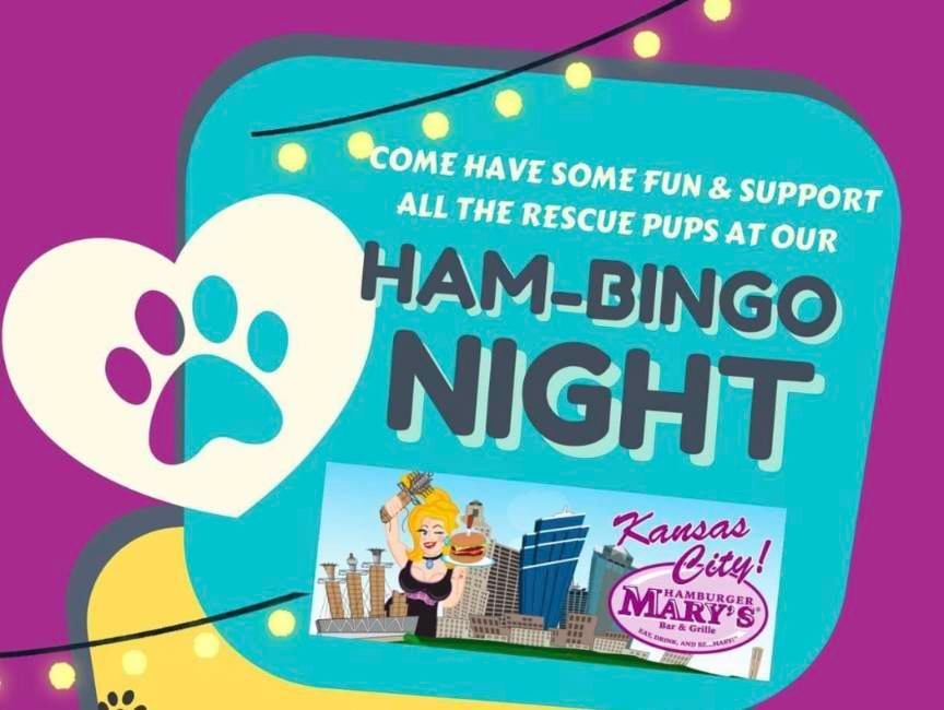 Hambingo Benefitting The Pet Connection 