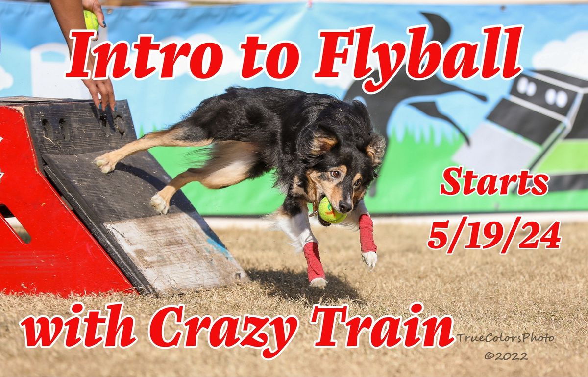 Intro to Flyball Class by Crazy Train Flyball Team