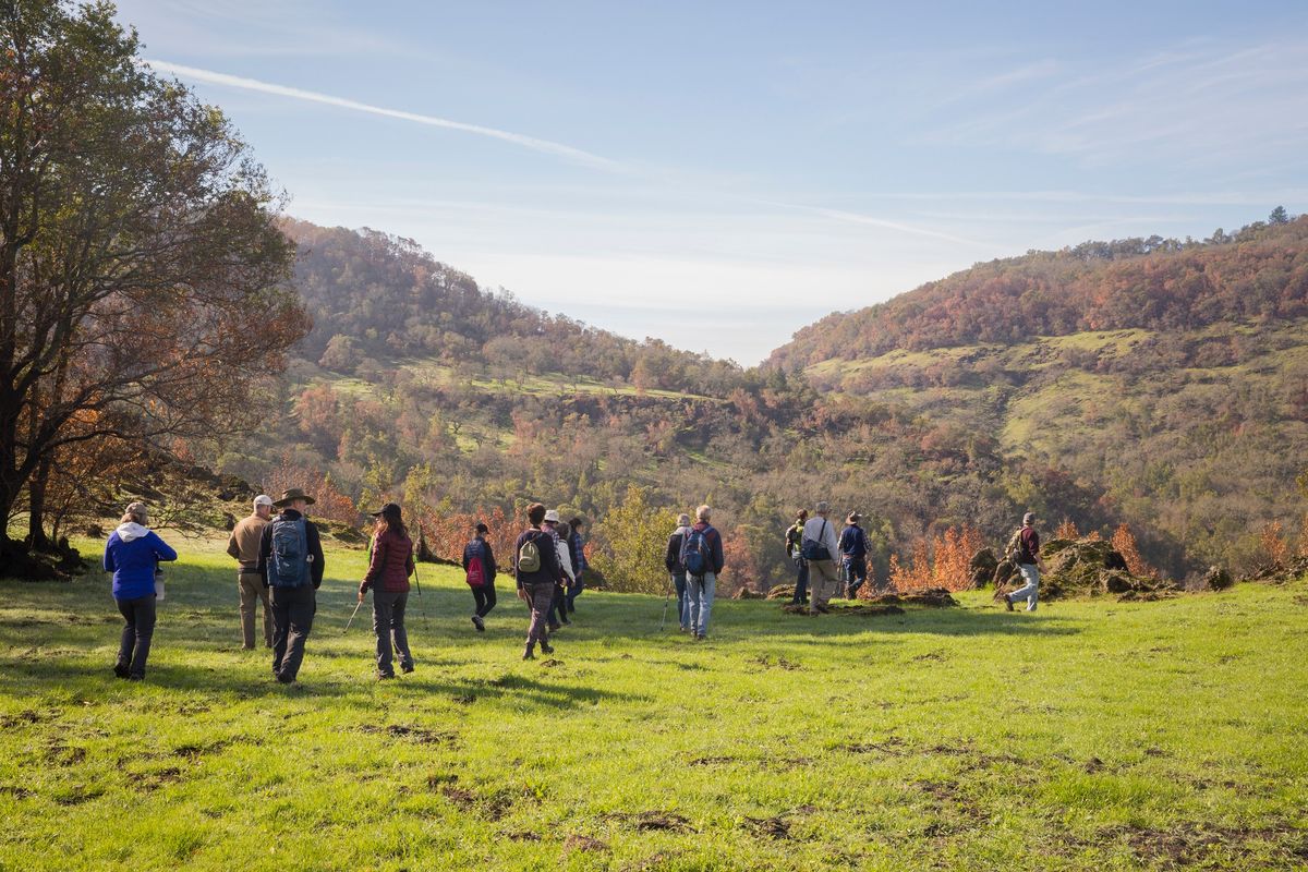 Explore the Hidden Hillside of the Keen Property