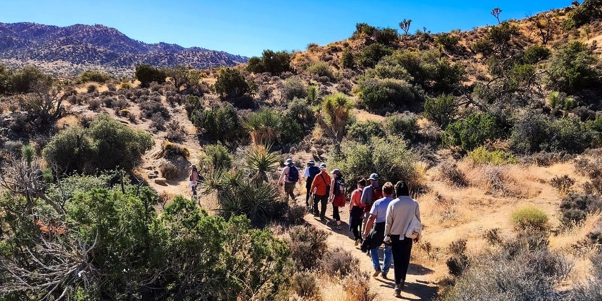 Shrubs, Trees, and Fall Flora of the Mojave Desert