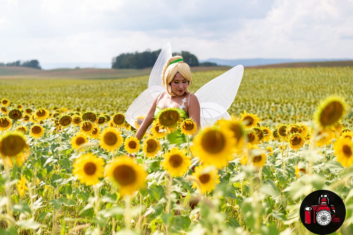 AUGUST PHOTOSHOOT: Sunflower Field @ Lesher's Poultry Farm