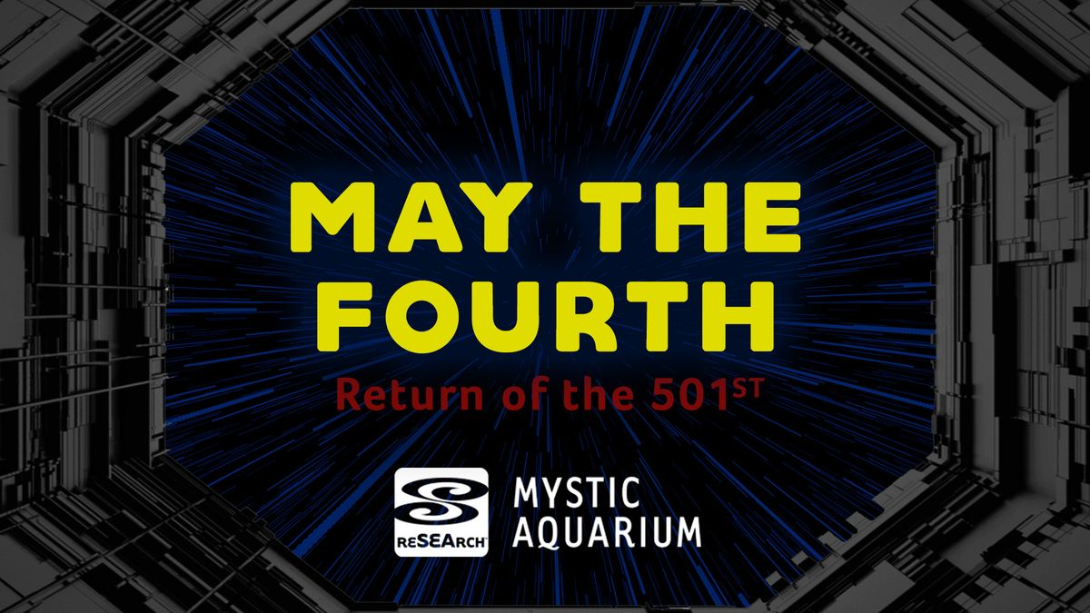 May The Fourth at Mystic Aquarium