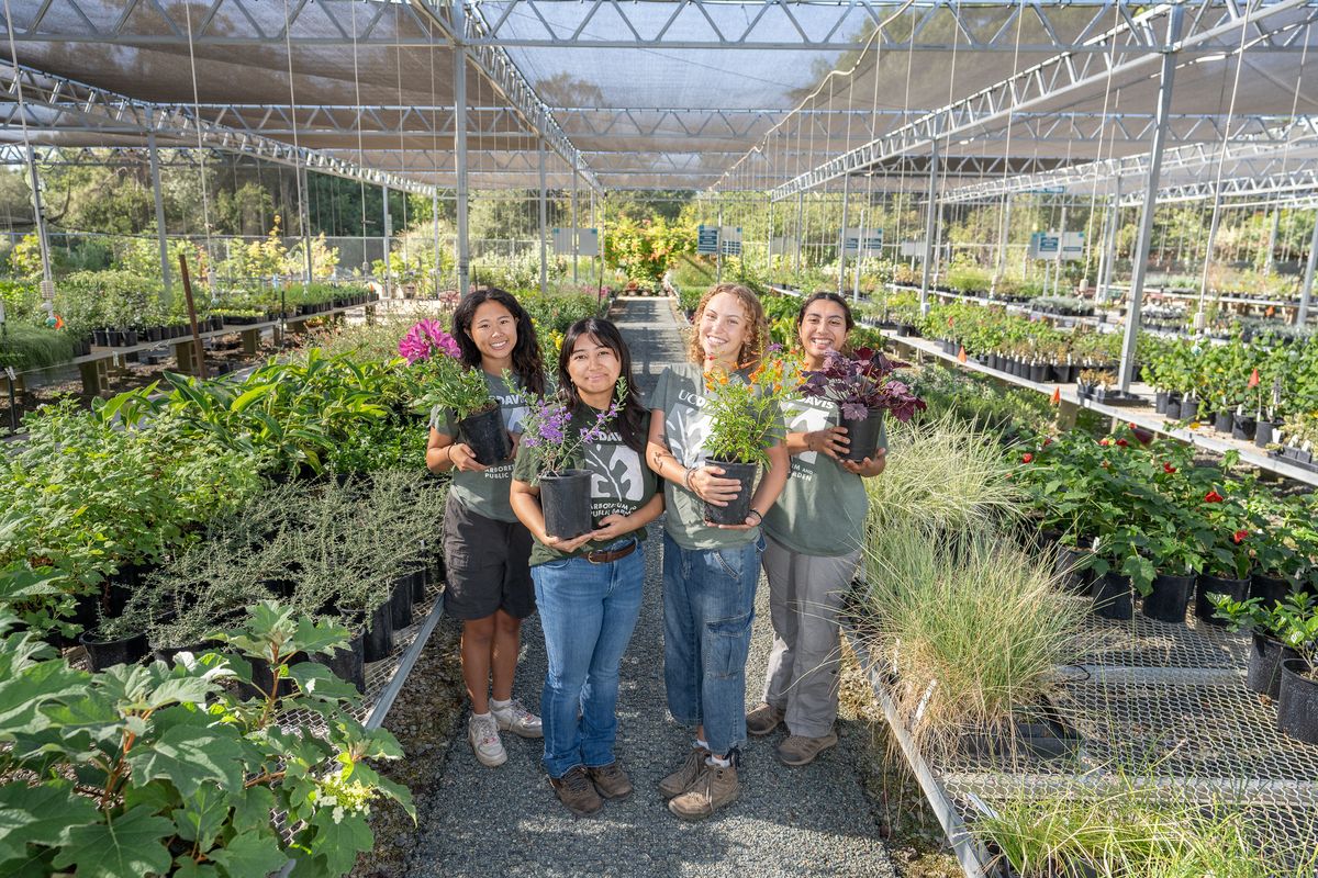 UC Davis Members-Only Plant Sale 