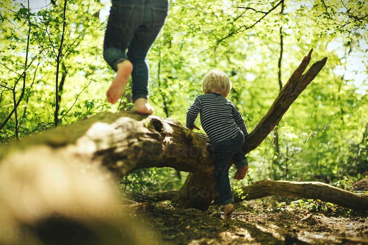 Park play-date with discussion of potential nature based co-op??