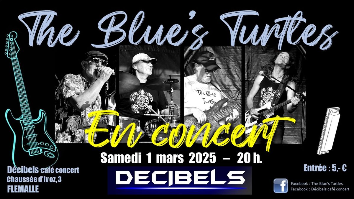 Concert blues-rock "The Blue's Turtles"