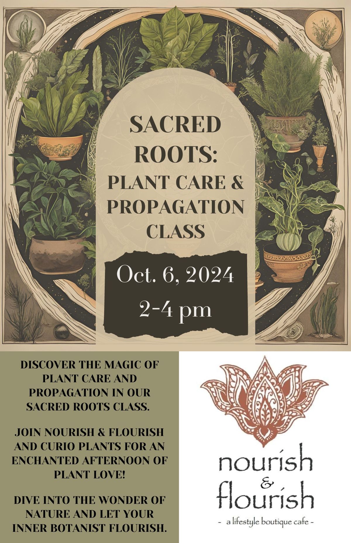 Curio Plants x Flourish Baltimore Sacred Roots: Plant care and propagation workshop 