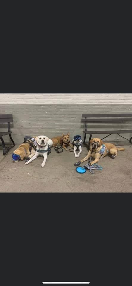 Framingham Dog Park Grand Opening Celebration