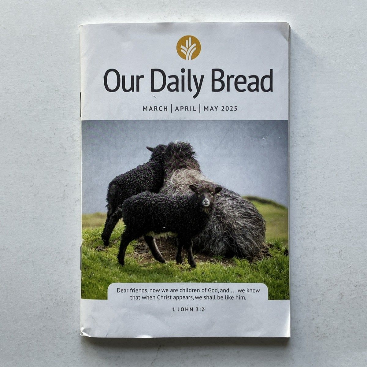 Daily Bread - 2 Day Pass