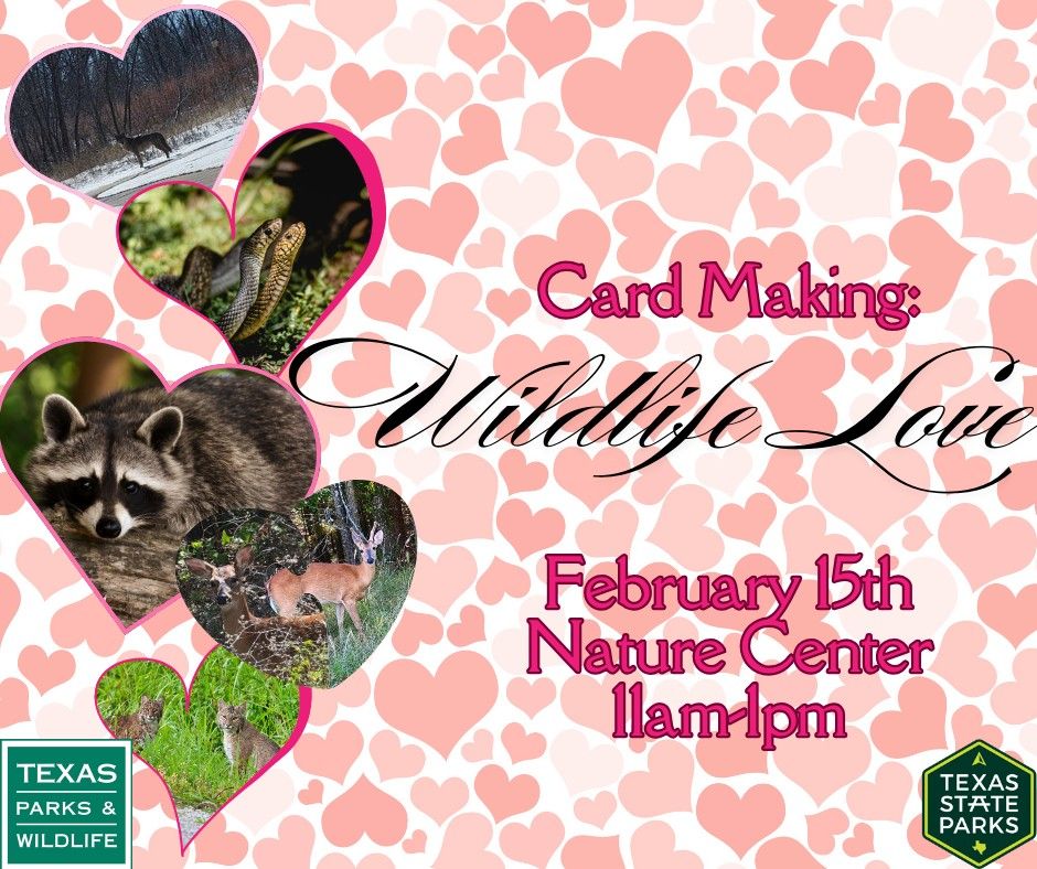 Card Making: Wildlife Love