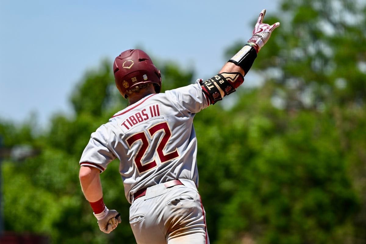 Stony Brook Seawolves at Florida Gulf Coast Eagles Baseball