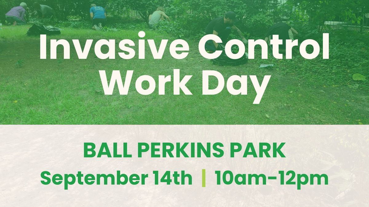 Invasive Species Removal at Ball Perkins Park