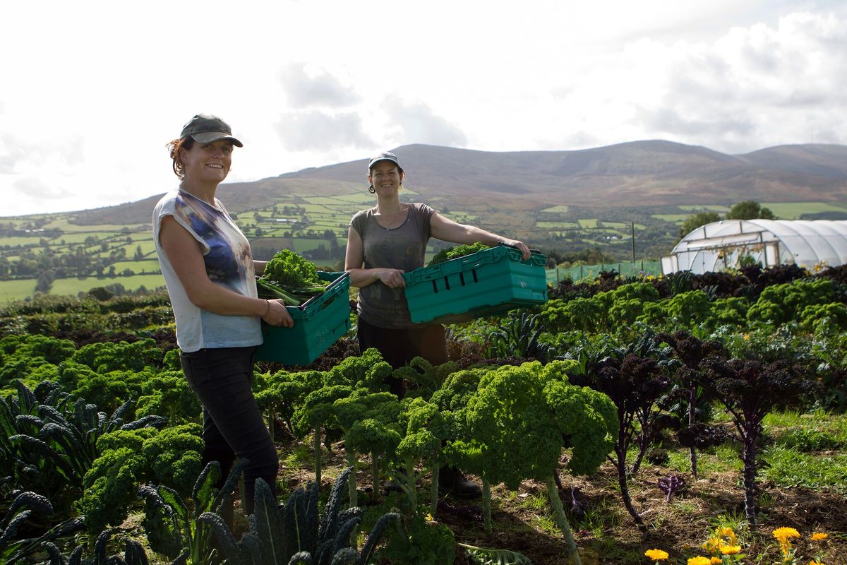 Small Scale Organic Farming with Janet Power of Gorse Farm