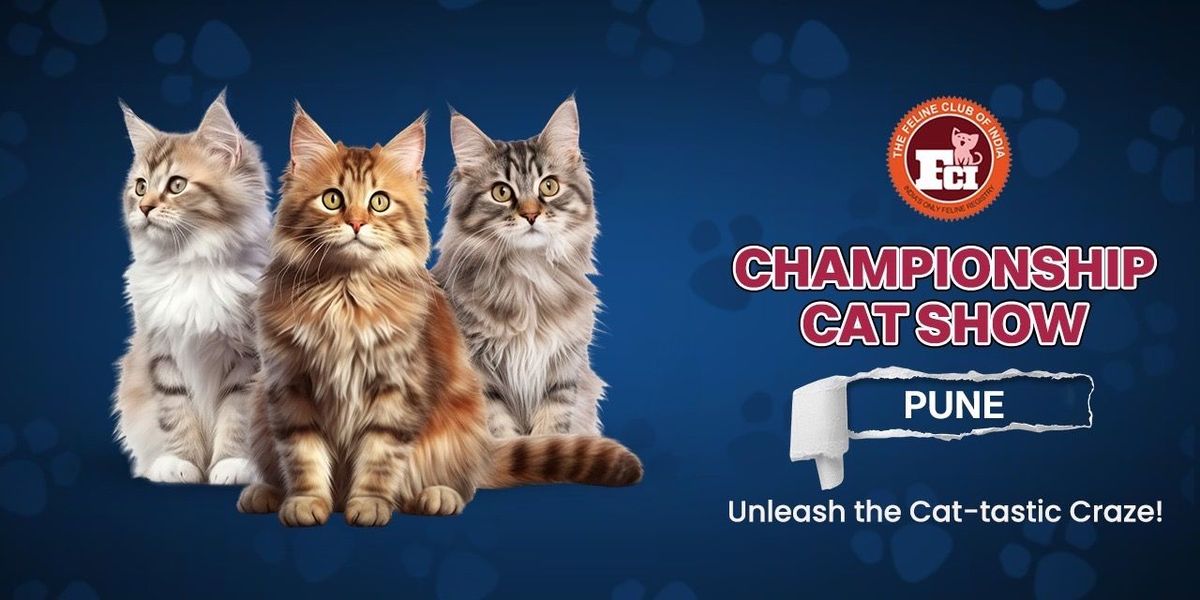 Championship Cat Show Pune