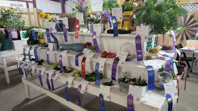 Entering Flowers, Vegetables and Canned Goods in the Fair