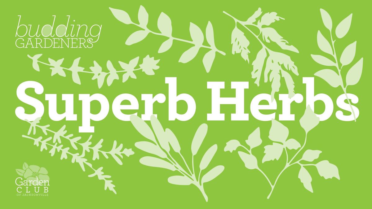 Budding Gardeners: Superb Herbs