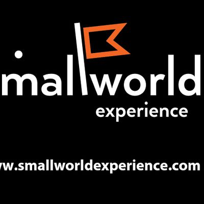 smallWORLD experience