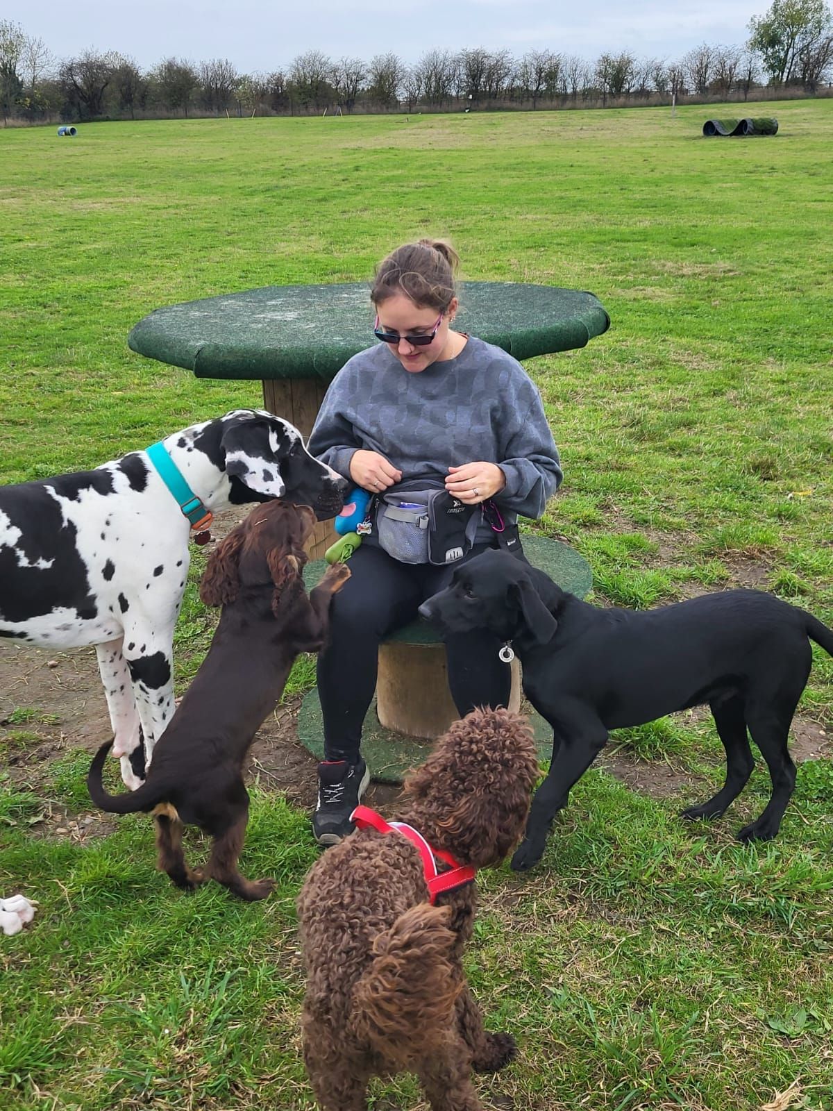 Puppy Play Session