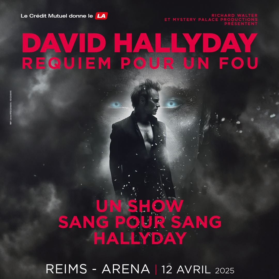 David Hallyday \u2022 Arena, Reims \u2022 12\/04\/2025