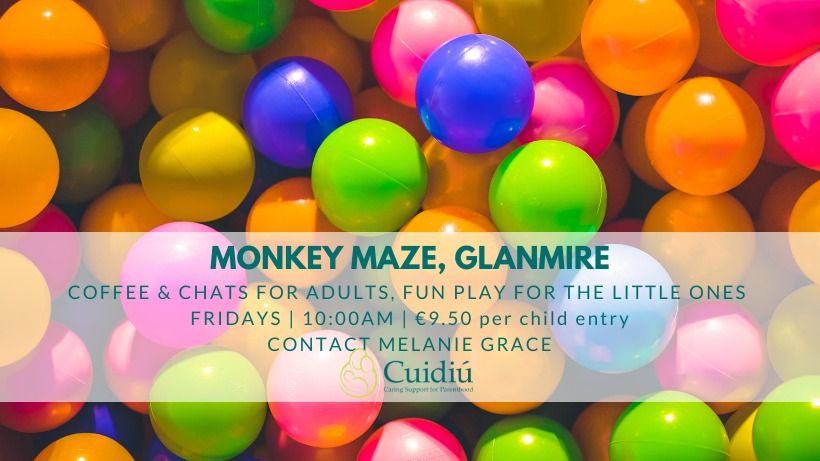 Monkey Maze - Glanmire