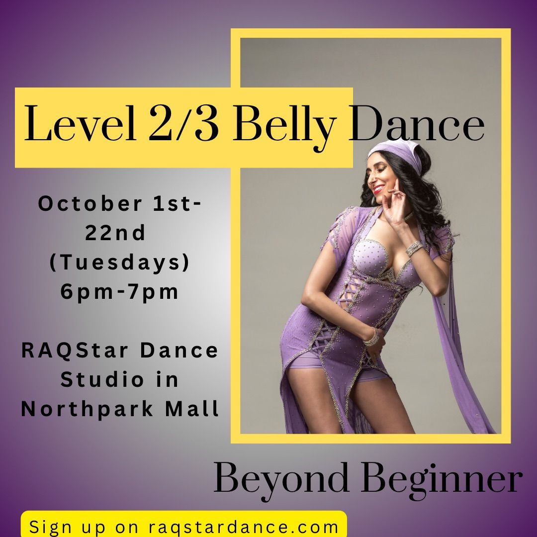 Level 2\/3 Belly Dance Session