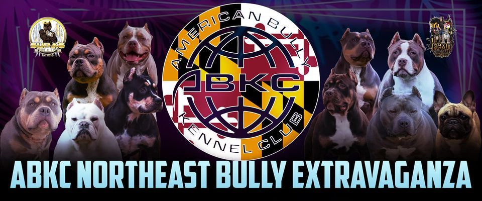 ABKC NORTHEAST BULLY EXTRAVAGANZA