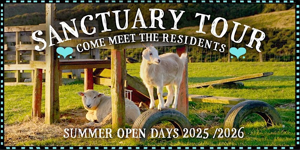 Black Sheep Animal Sanctuary Open Day 25\/26