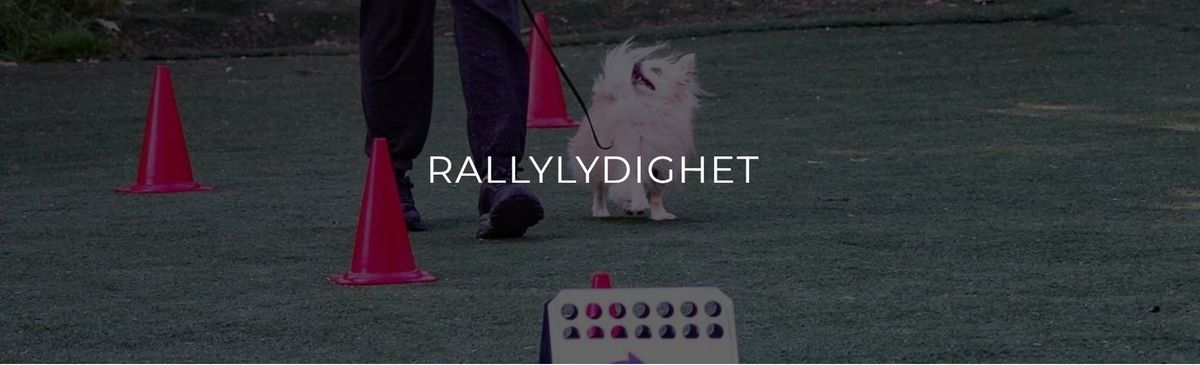 Rallylydighet: Introkurs (helg)