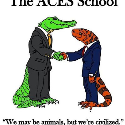 The ACES School