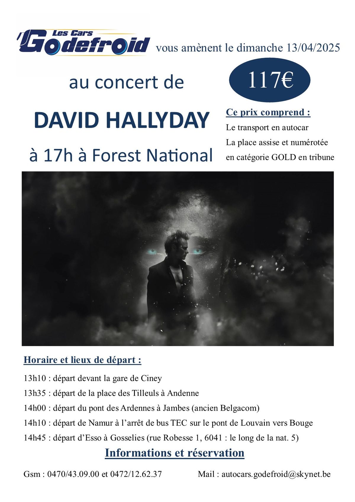 Concert David Hallyday