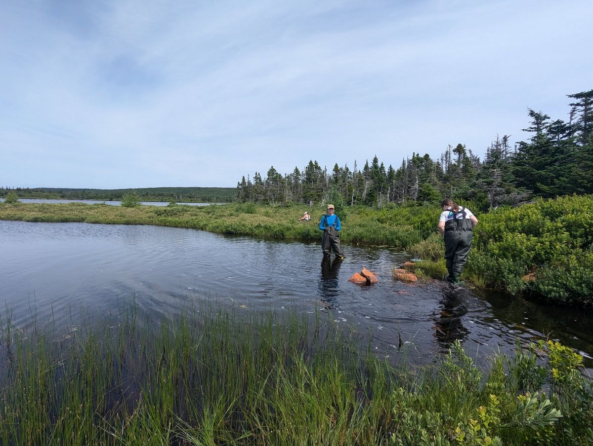 World Wetlands Day 2025 (Family Friendly)