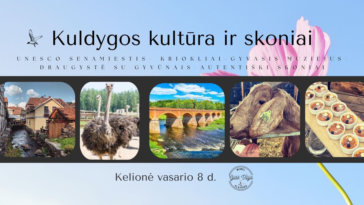 KULDYGOS KULT\u016aRA IR SKONIAI. 