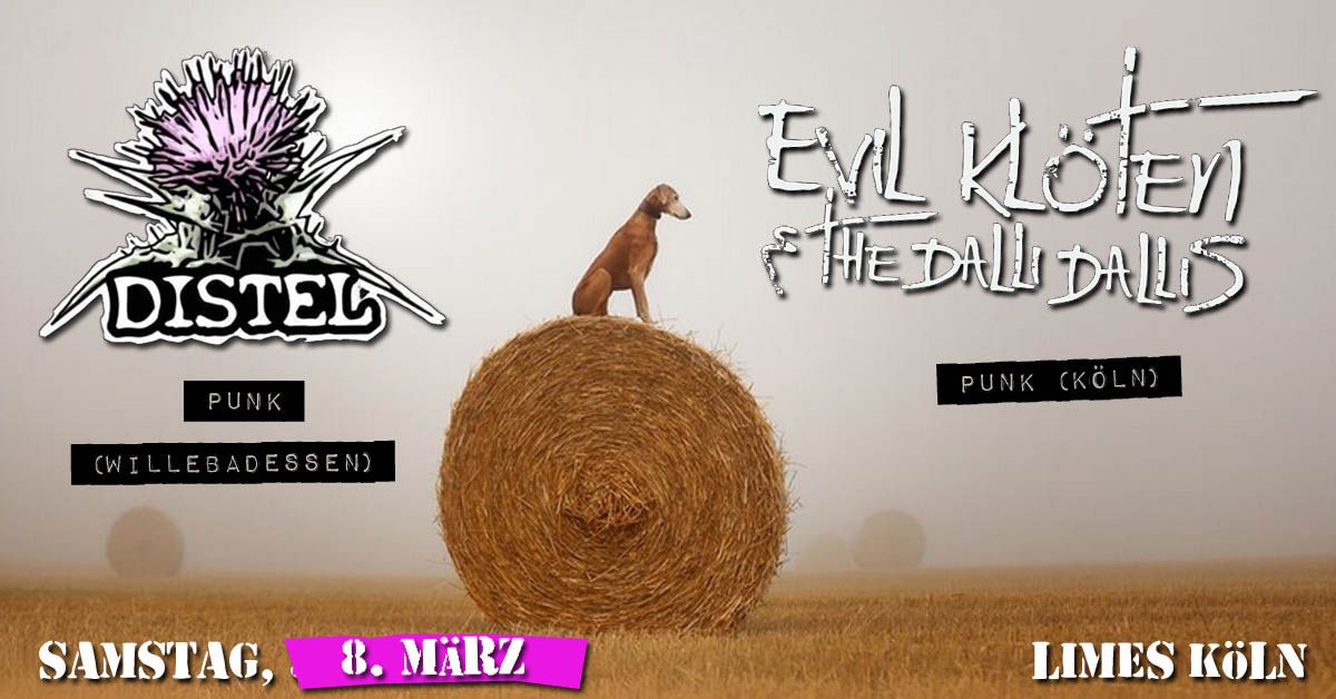 Evil Kl\u00f6ten & The Dalli Dallis | Distel