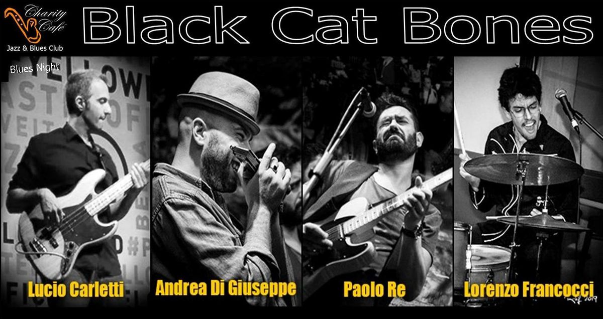 BLACK CAT BONES | BluesNight