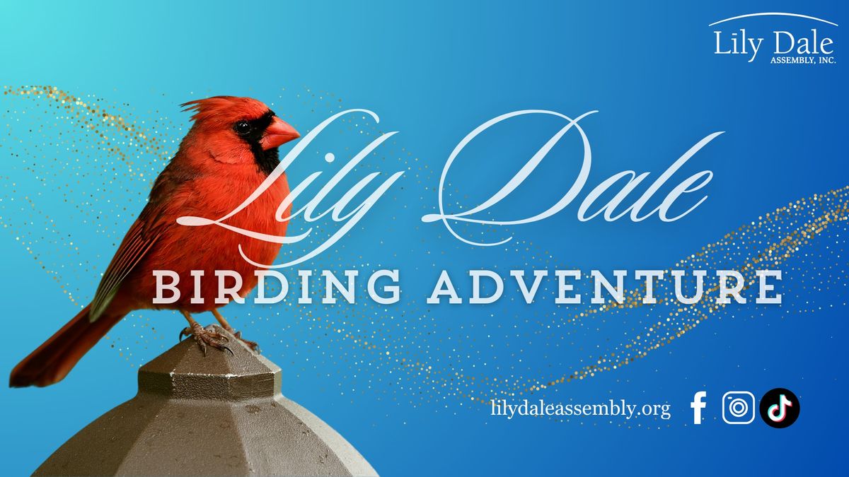 LILY DALE BIRDING ADVENTURE with Gail VerHague (Weather permitting)