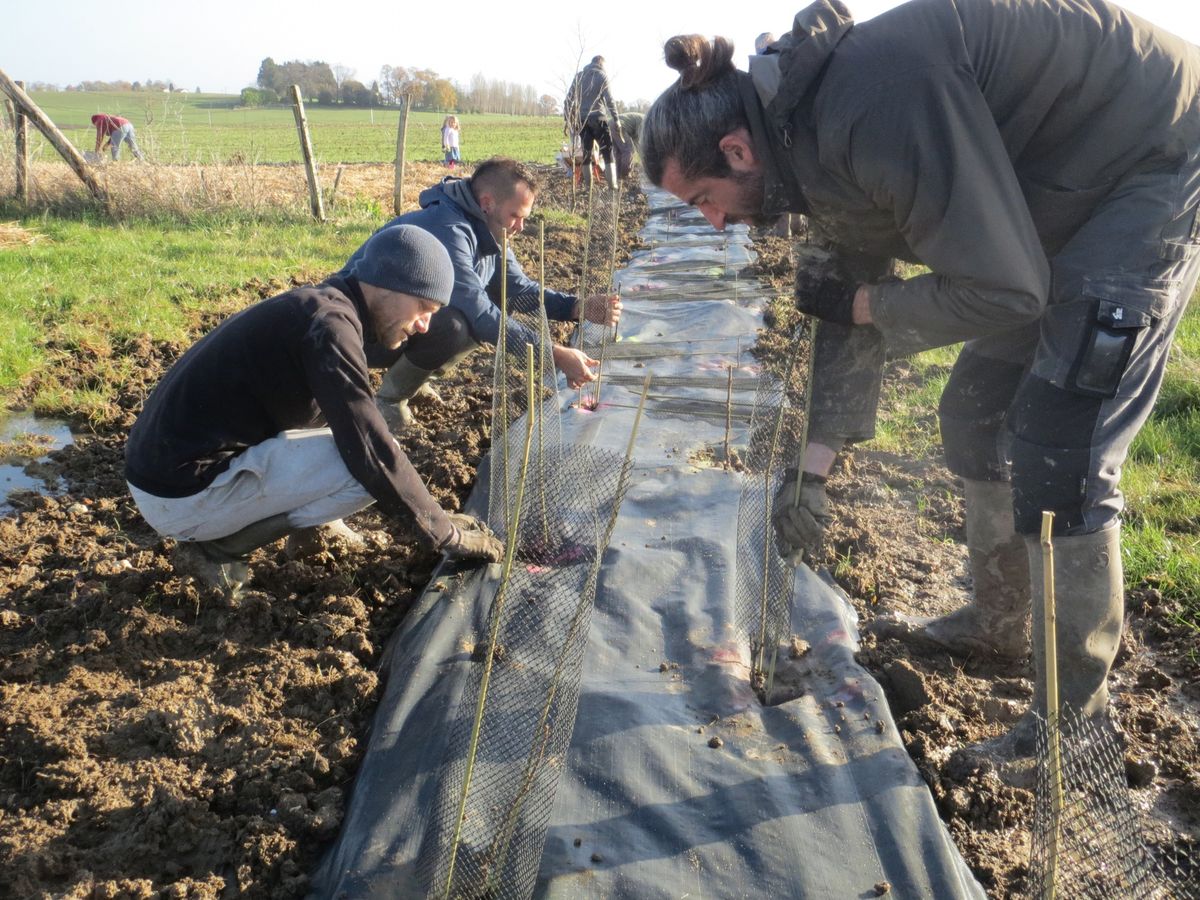 Chantier plantation \u00e0 la ferme d'Isia