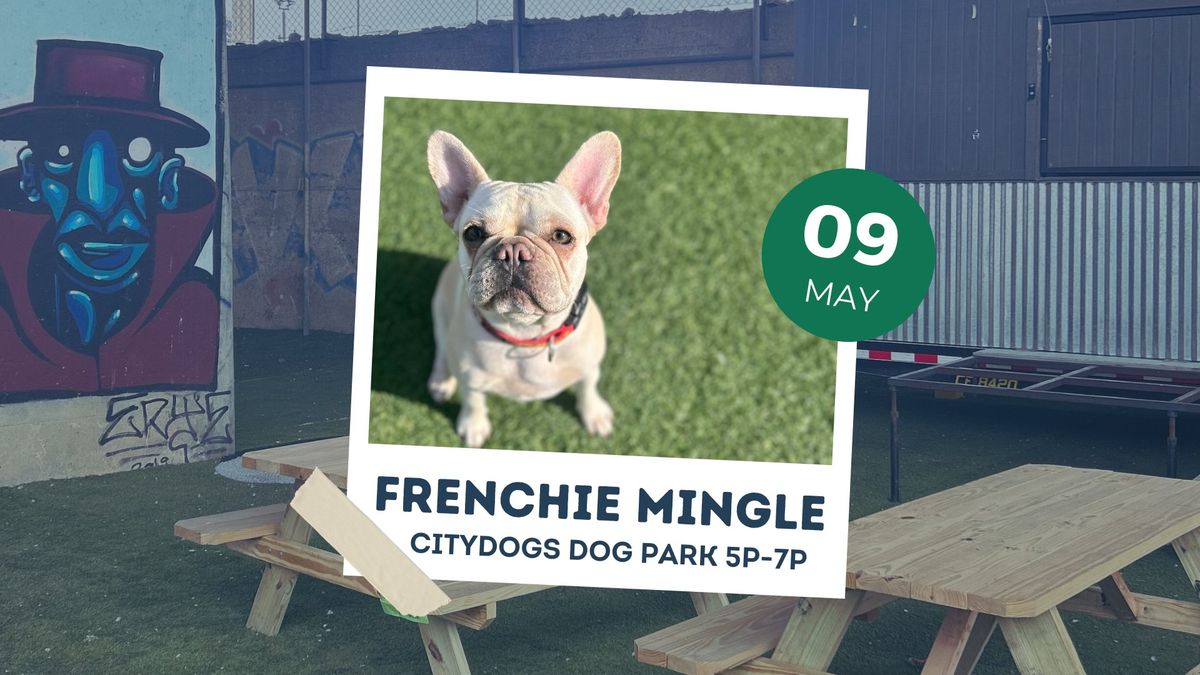 Frenchie Mingle at CITYDOGs Dog Park