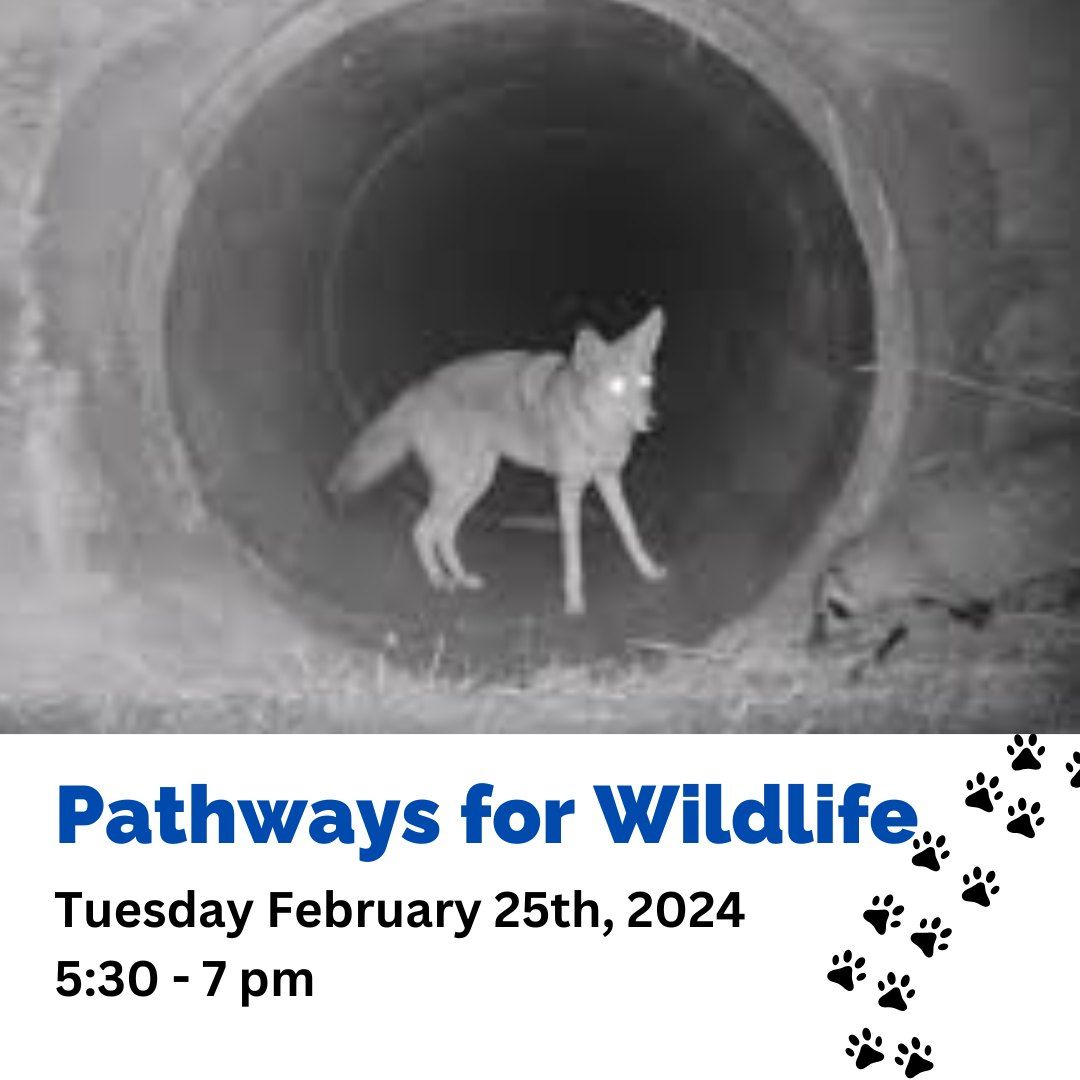 Pathways for Wildlife