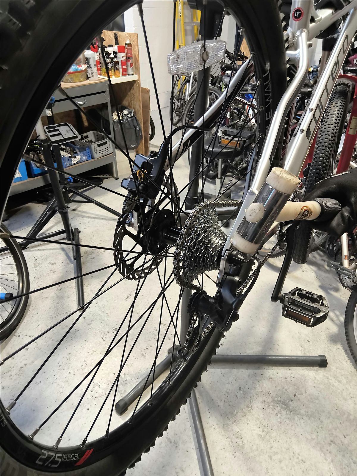 Basic bike maintenance