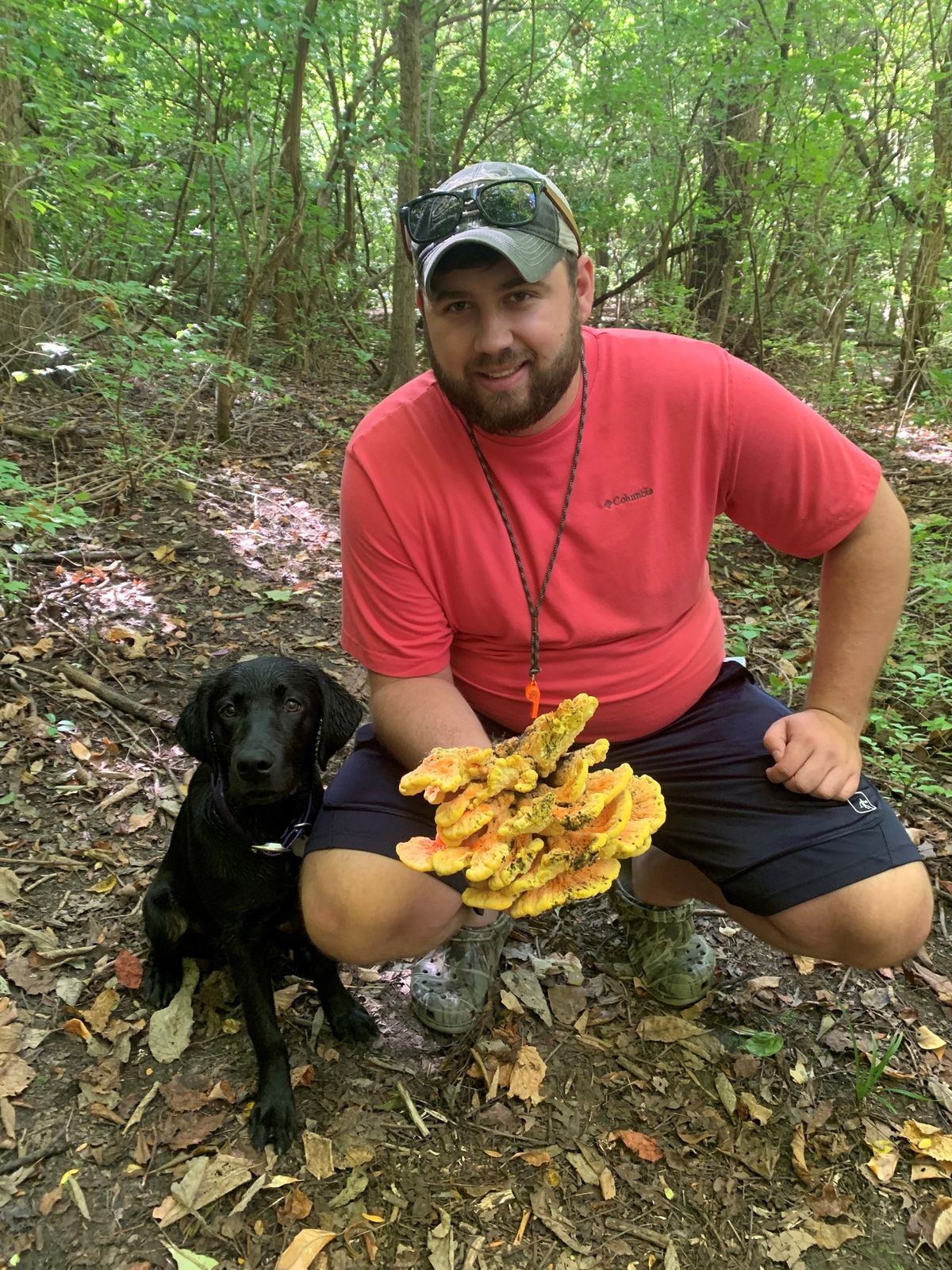 Exploring Wildlife Diversity: Mushrooms (SW OH)\t