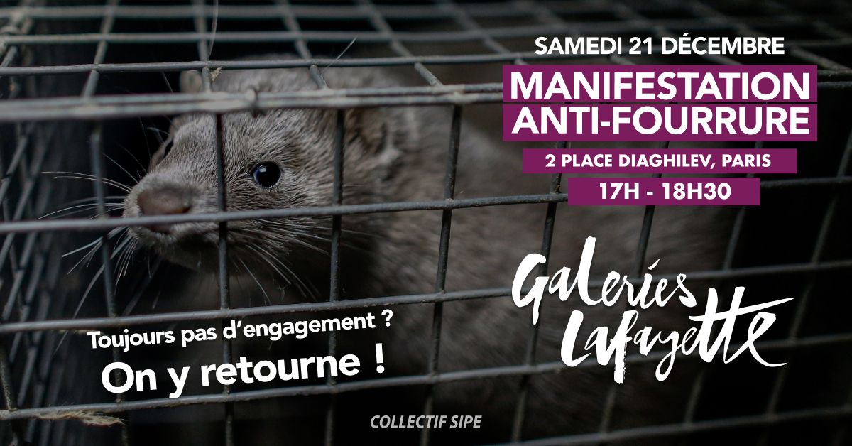 \ud83d\uded1 Manifestation Anti-Fourrure : Galeries Lafayette bannissez la fourrure animale !